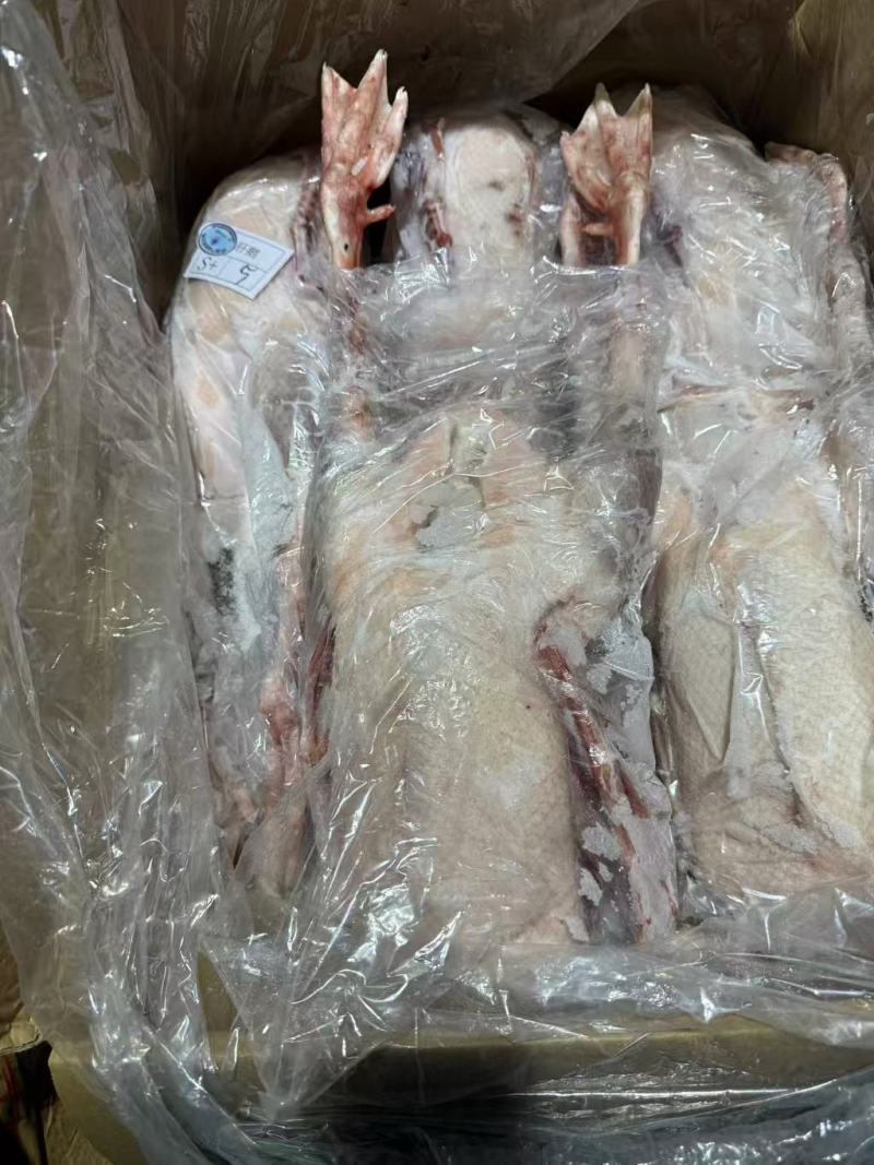 厂家直销全鹅，品质有保障，300多件心肝鹅6只装