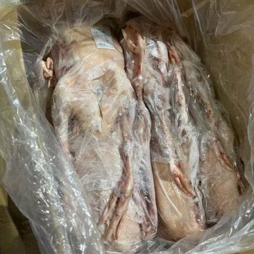 厂家直销全鹅，品质有保障，300多件心肝鹅6只装