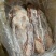 厂家直销全鹅，品质有保障，300多件心肝鹅6只装