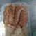鱼子鱼泡