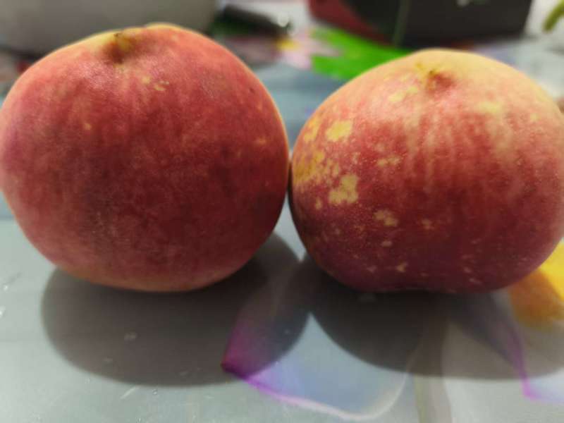 红桃
