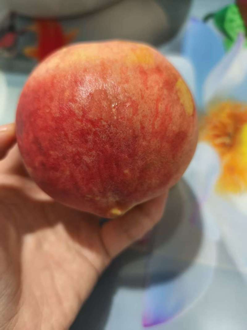 红桃