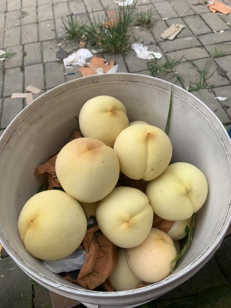 冬桃，4两左右