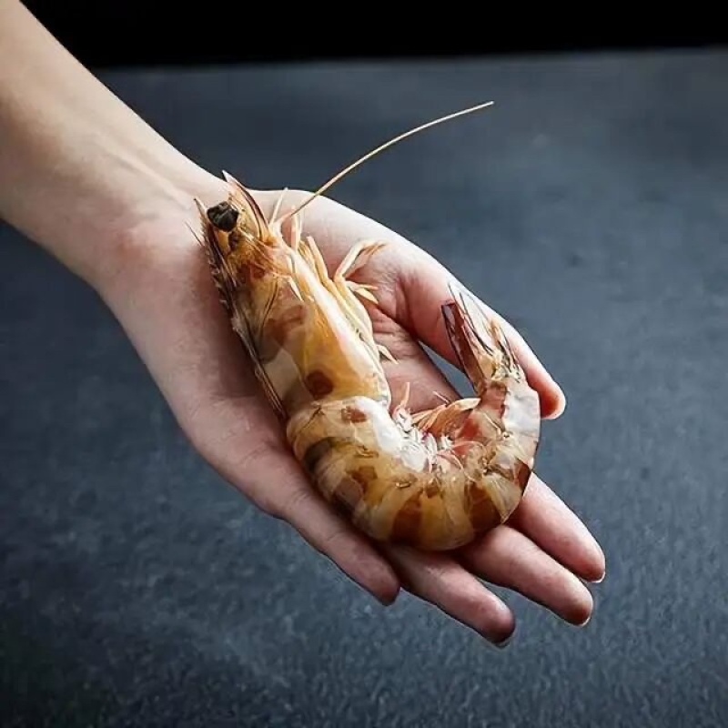 斑节虾