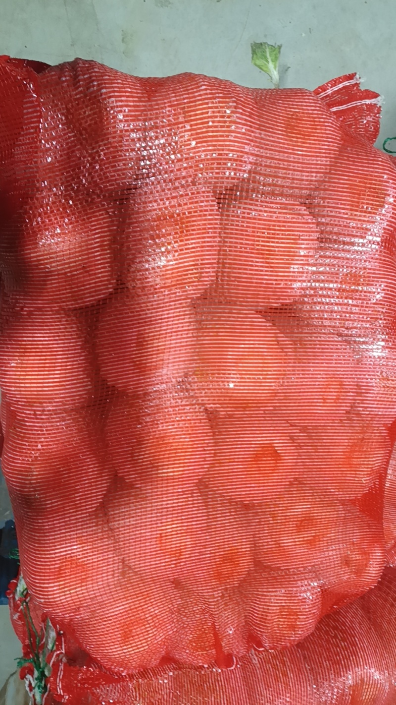 白菜