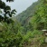 深水土蜂蜜