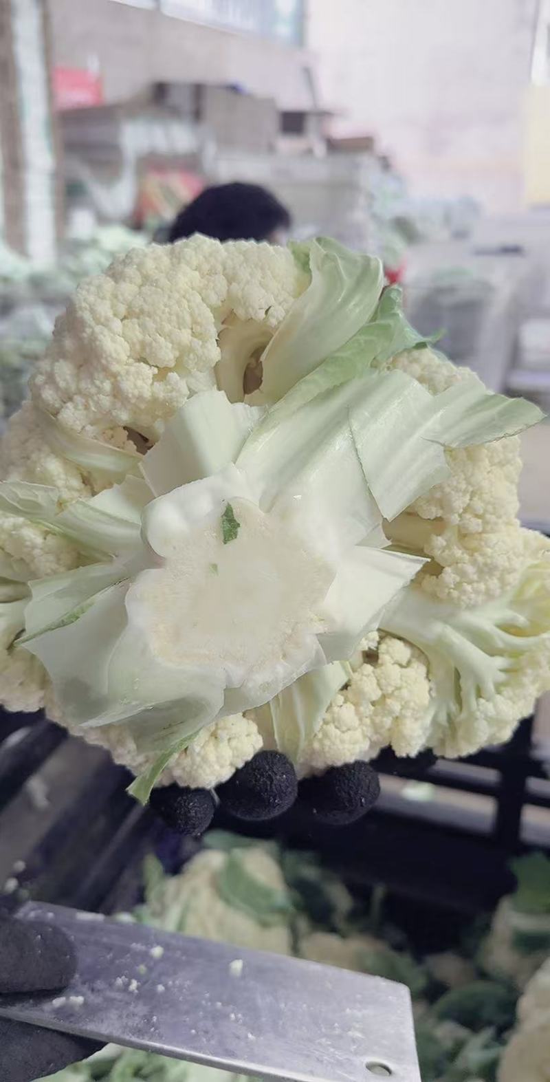 精品松花菜大掉价大掉价