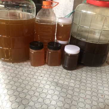 贵州黔西南野生土蜂蜜
