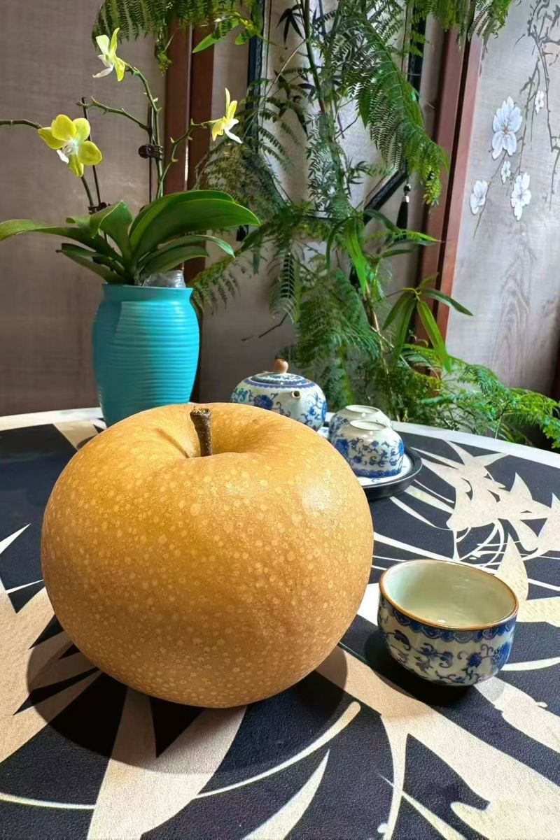 精品莱阳梨产地直发质优价廉对接商超批发市超电商