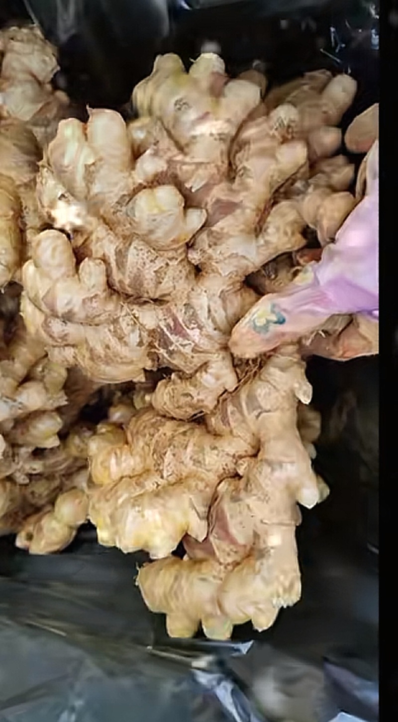 生姜，嫩姜，老姜