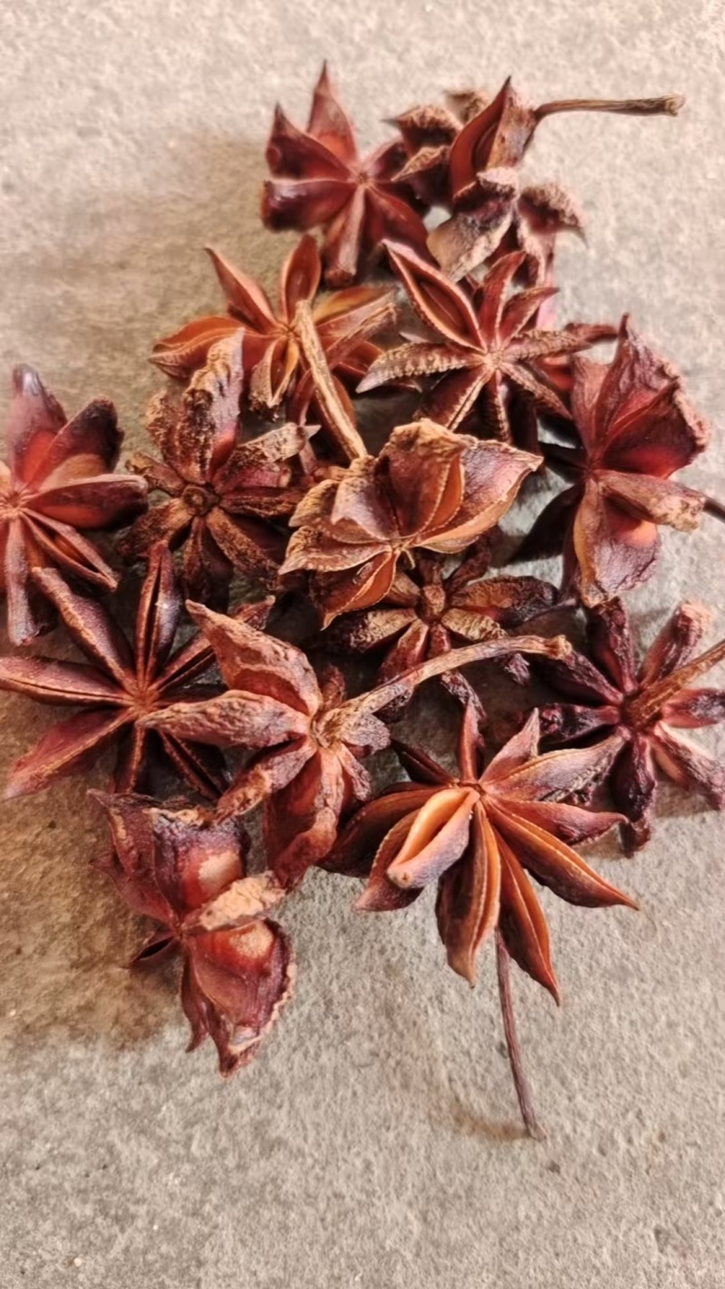 广西精品大红八角，颗粒大，成色好！