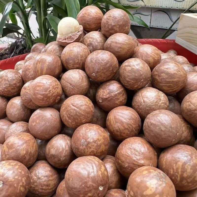 夏威夷果电商一件代发有量你就来