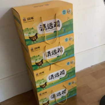 清远鸡