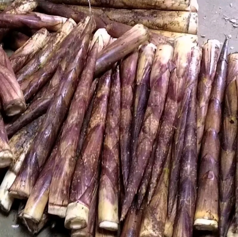 方竹笋