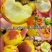 黄骅冬枣