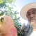 西昌突尼斯软籽石榴