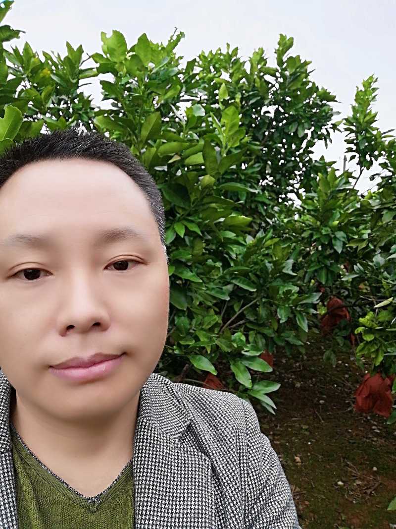 红心蜜柚