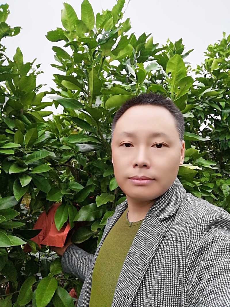 红心蜜柚