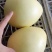 湖北红心蜜柚