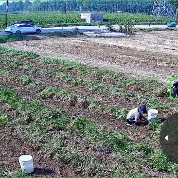 山东花生🥜