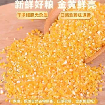 玉米糁黄白玉米糁规格齐全厂家直销常年供货