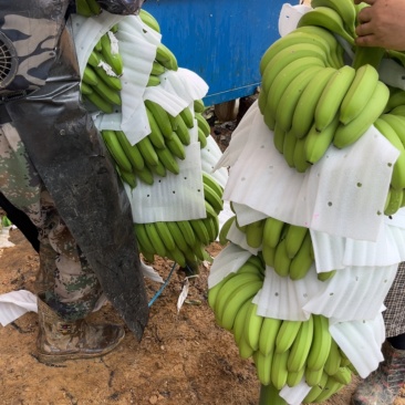 整车采购提供人工包装货运调度