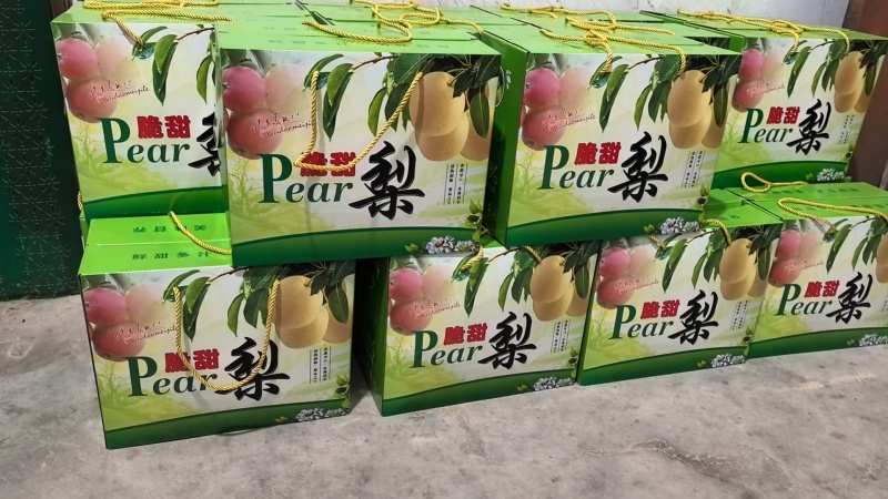 酥梨