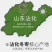 山东沾化冬枣