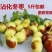 山东沾化冬枣