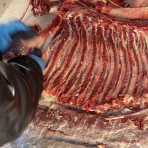 马肉，国产新鲜马肉，价格可谈