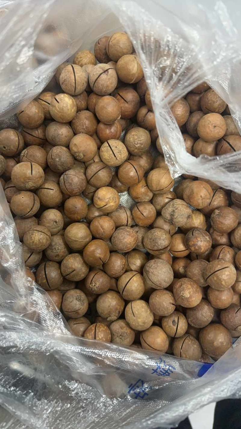 夏威夷果电商货、大量出货