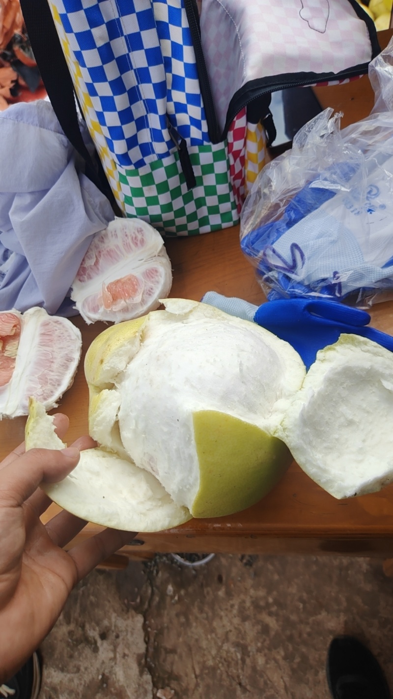 红心柚