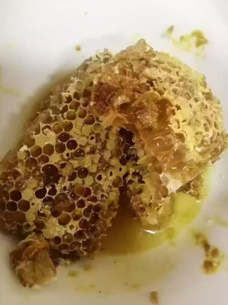 土蜂蜜，要的老板私聊我