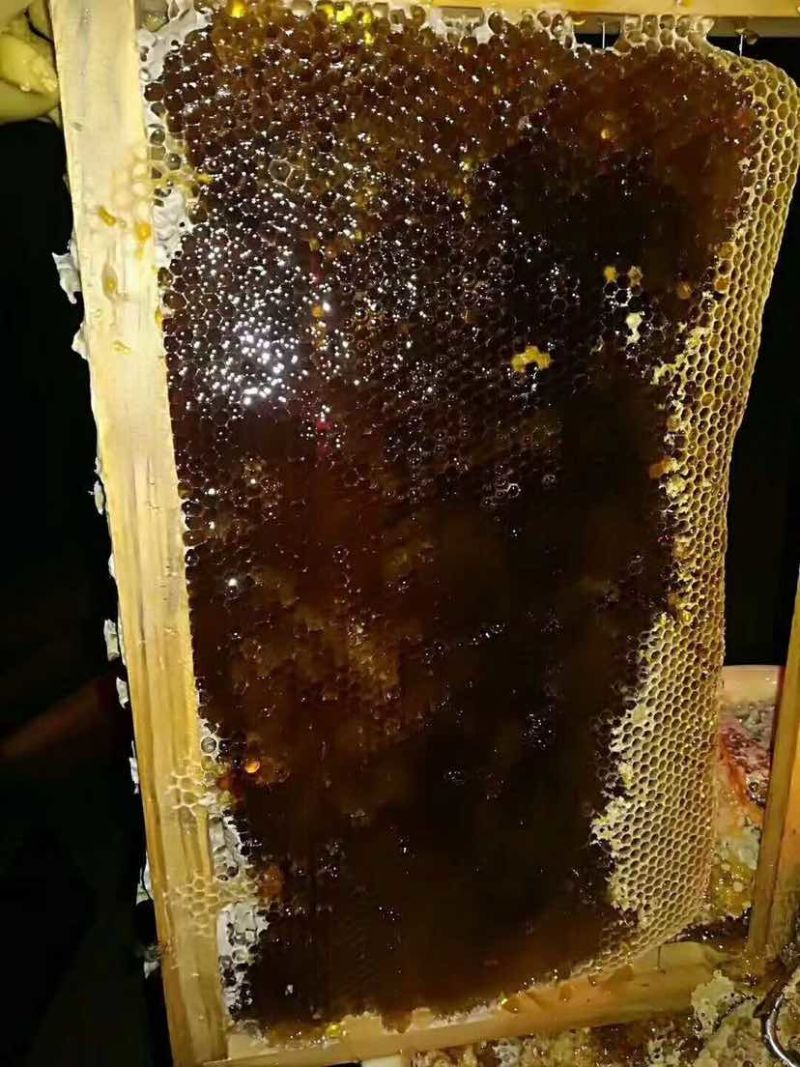土蜂蜜，要的老板私聊我