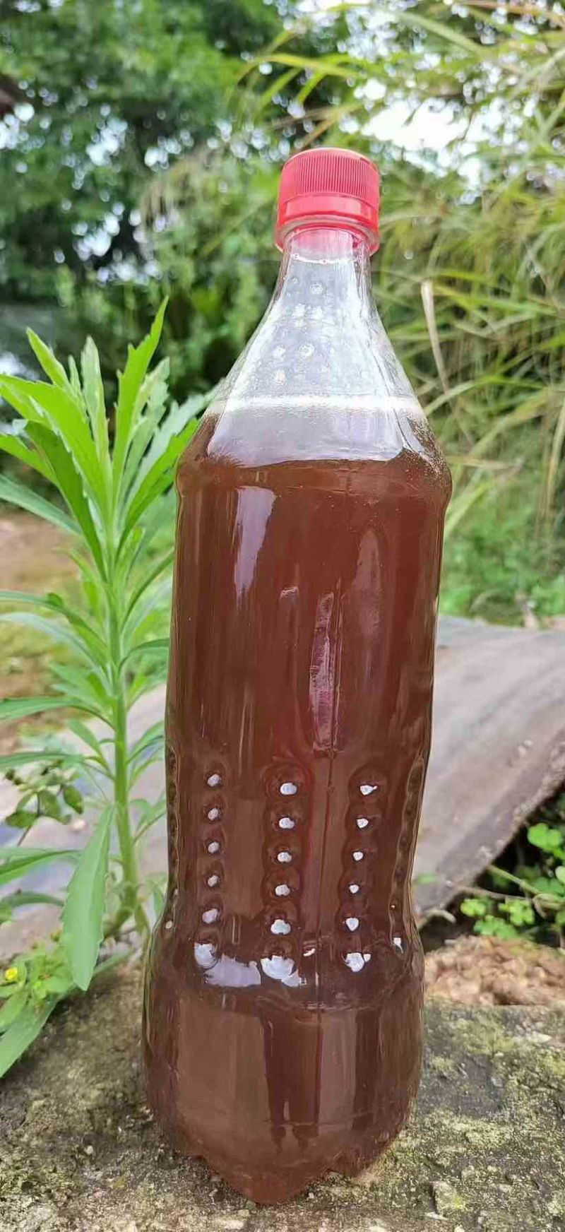 土蜂蜜，要的老板私聊我