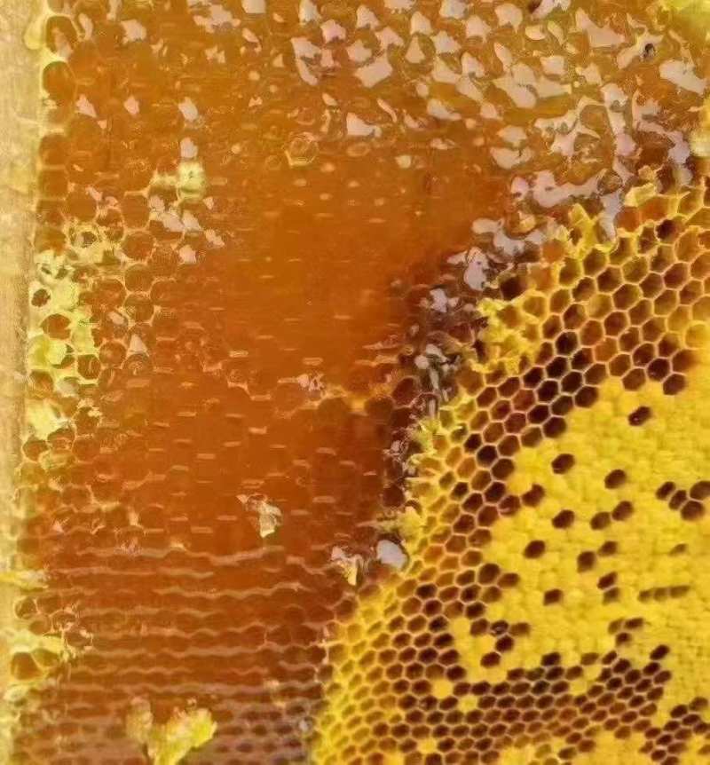 土蜂蜜，要的老板私聊我
