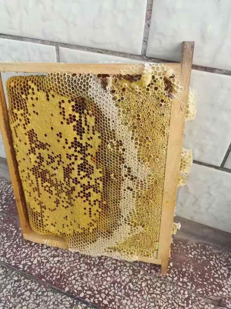 土蜂蜜，要的老板私聊我