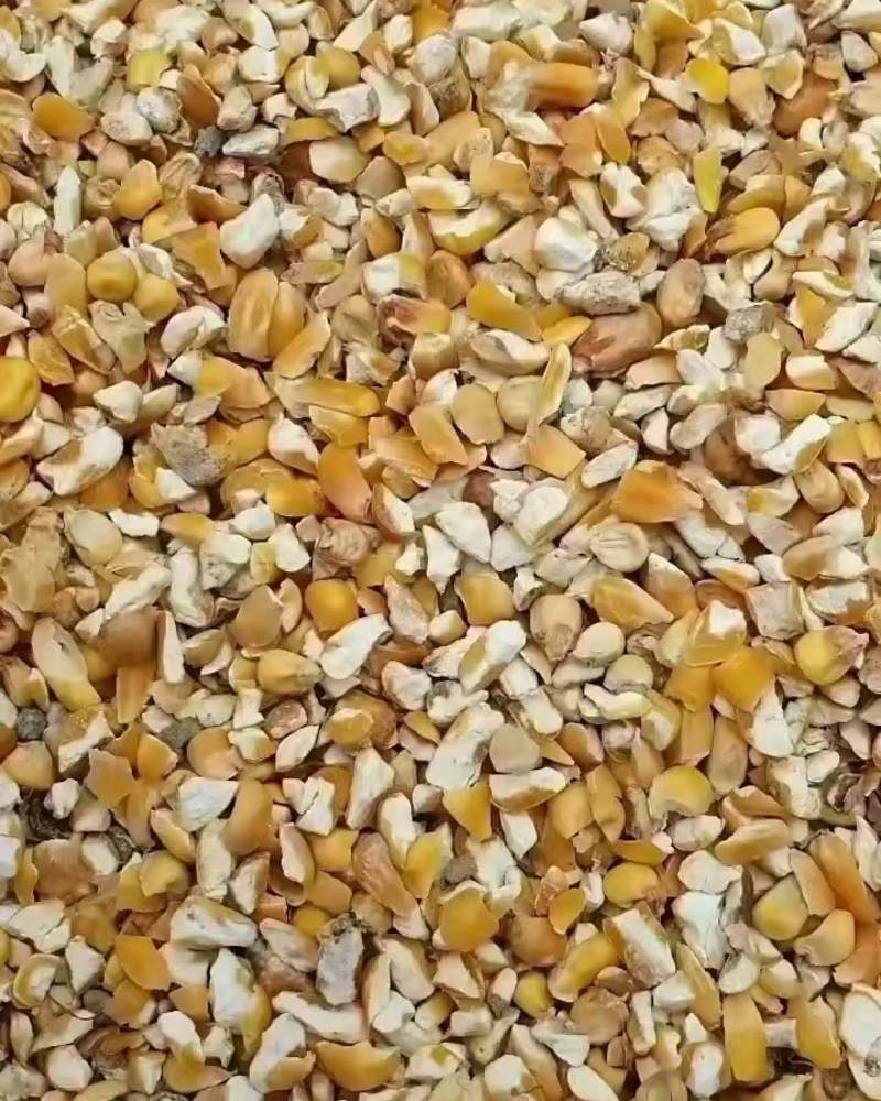 碎玉米