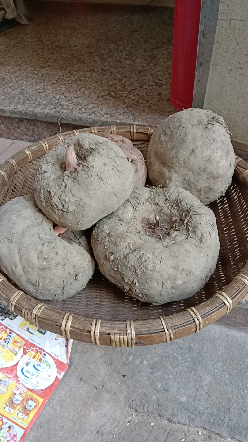 求财磨芋。有货的老板请吱一声***********