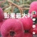 甜红子山楂