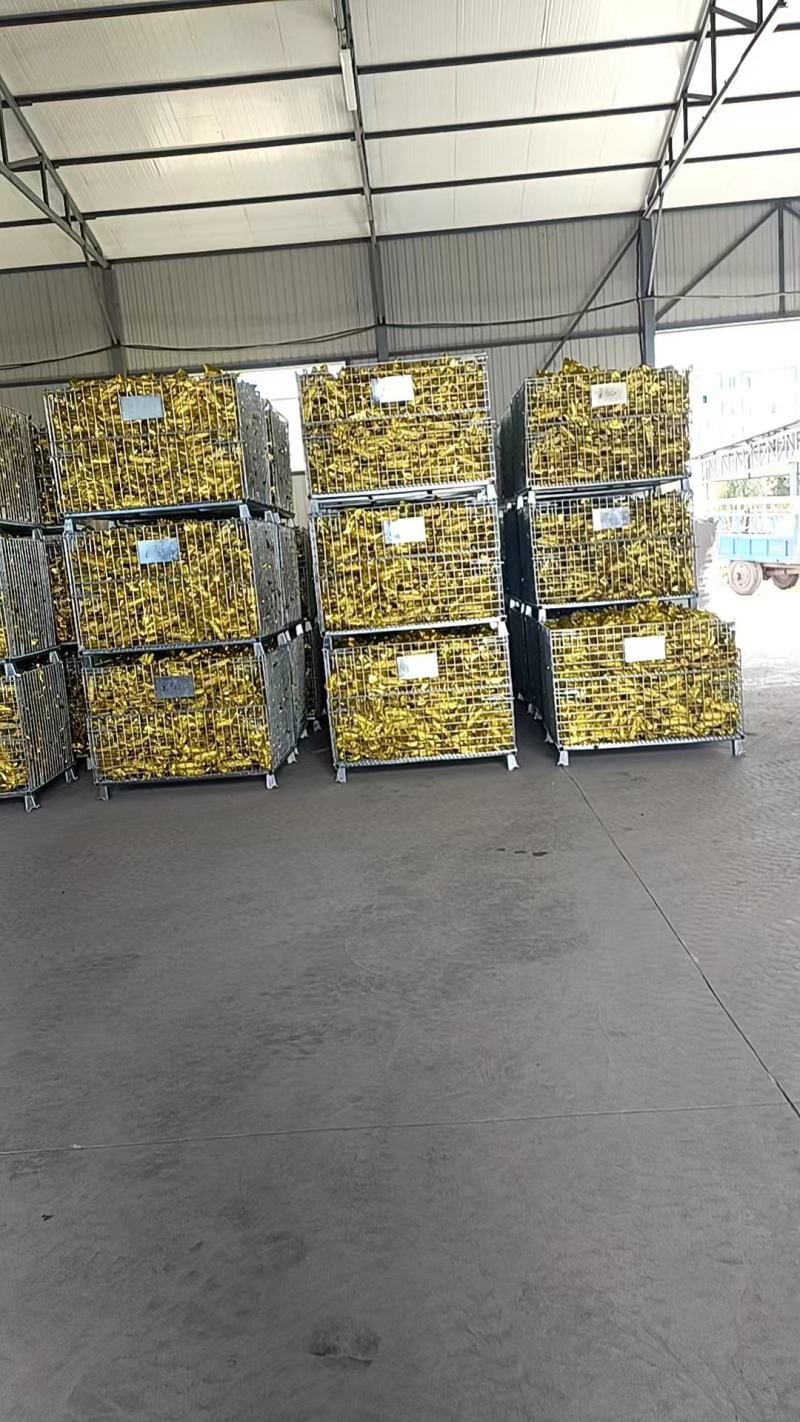 【放心购买】黑龙江绥化真空铝箔鲜食玉米糯玉米量大从优