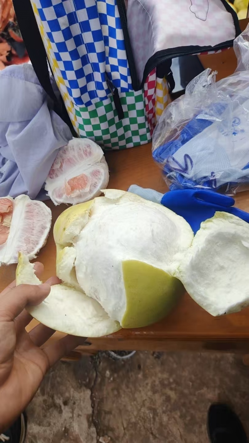 套袋红心柚