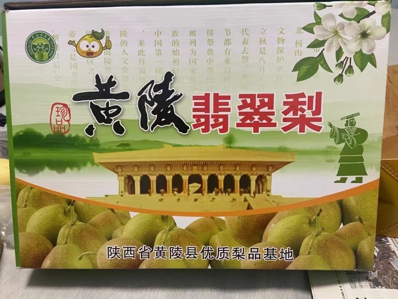 陕西黄陵翡翠梨