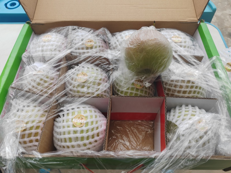 陕西黄陵翡翠梨