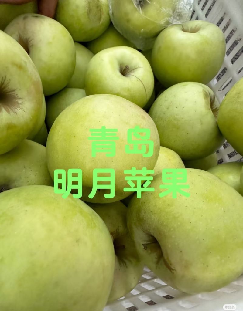 青森明月水蜜桃苹果青苹果，一件代发，圆通申通发货，对接电商