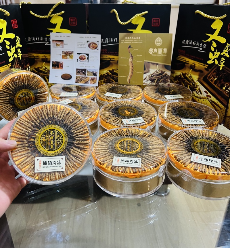 虫草低预算礼盒装，100根装福利价带圆盘仅需799元包邮
