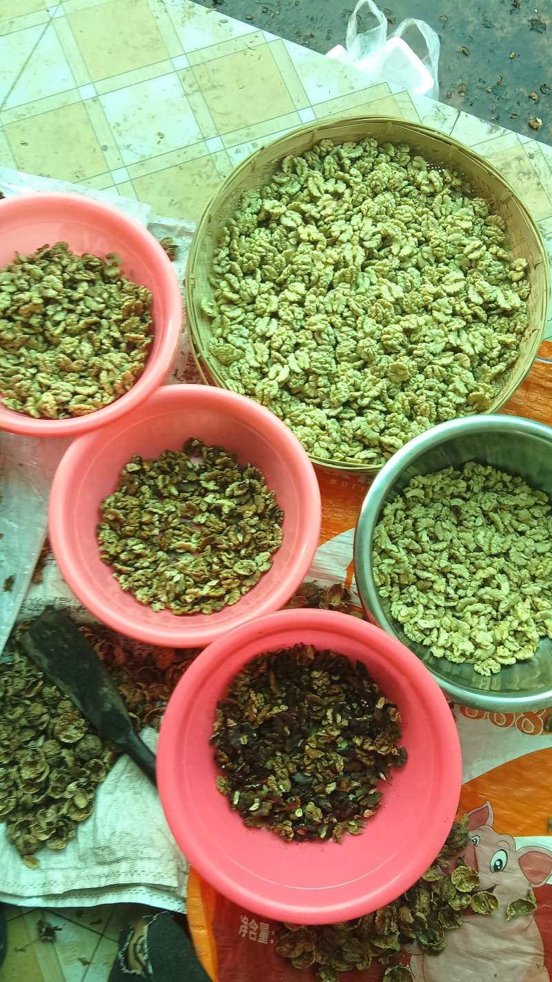 云南风庆老树核桃仁精品超白双仁
