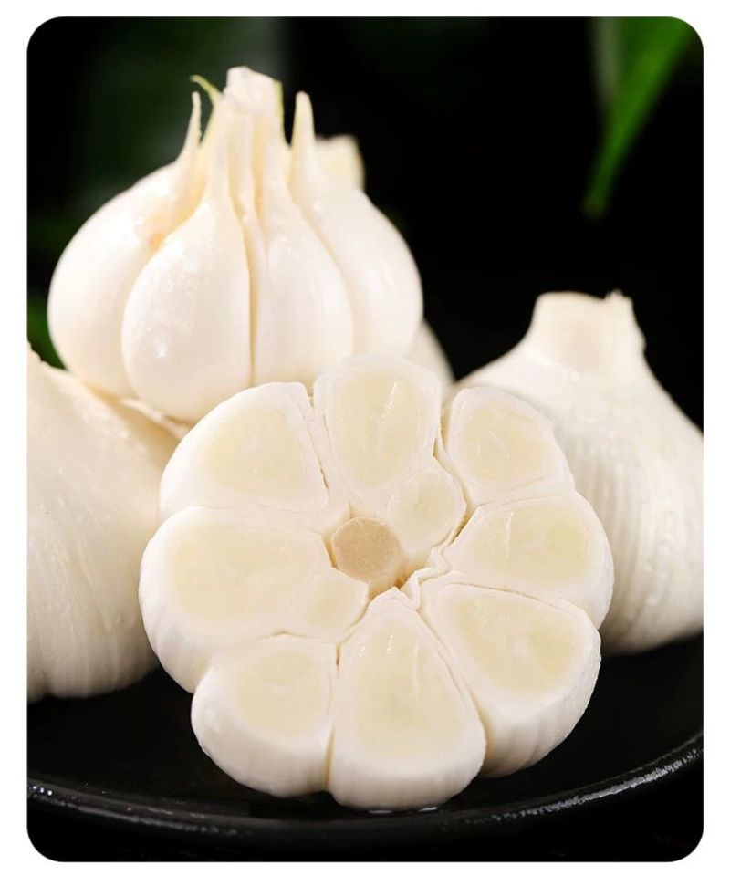 山东白皮鲜蒜
