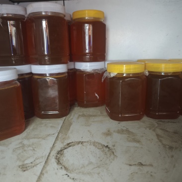 正土蜂蜜，假一陪十，自己家喂