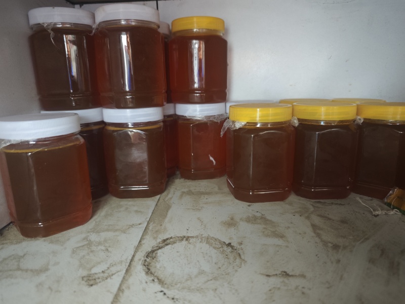 正土蜂蜜，假一陪十，自己家喂
